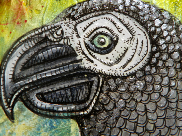 african grey parrot art