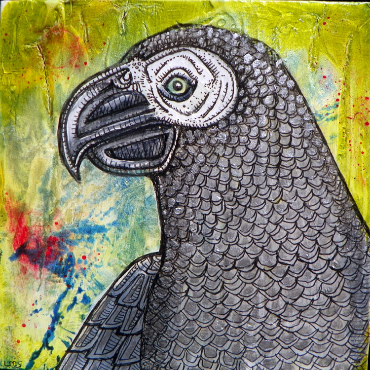 african grey parrot art