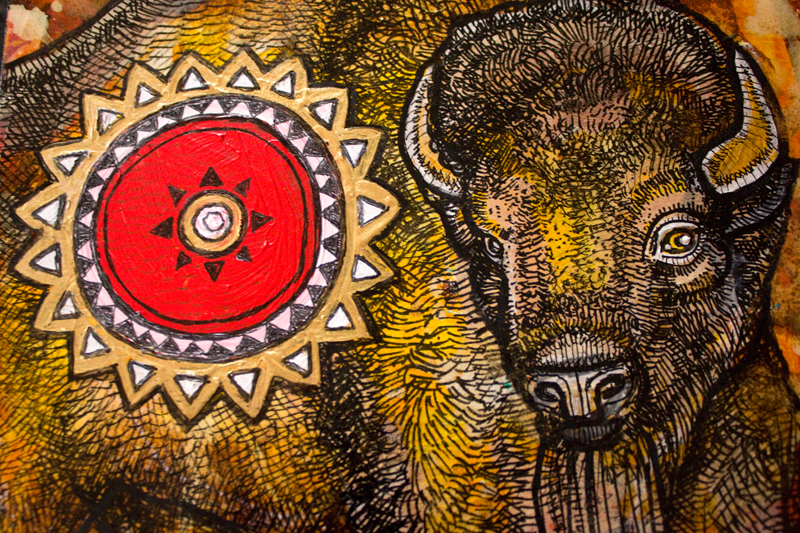 bison american buffalo