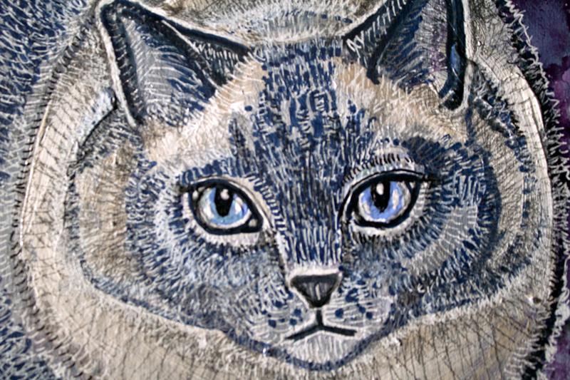 cat pet portrait art