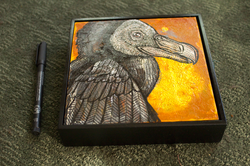 black vulture art