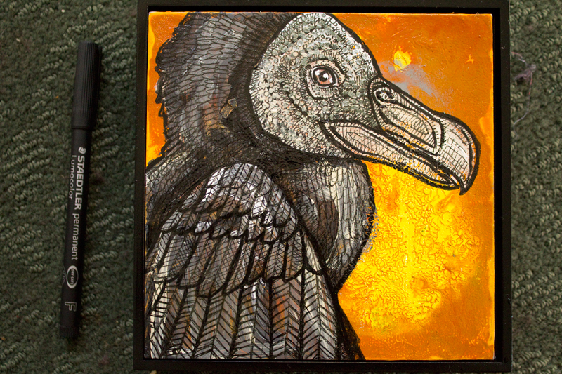 black vulture art