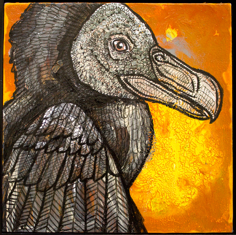 black vulture art