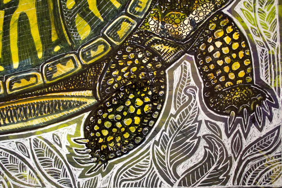 box turtle art