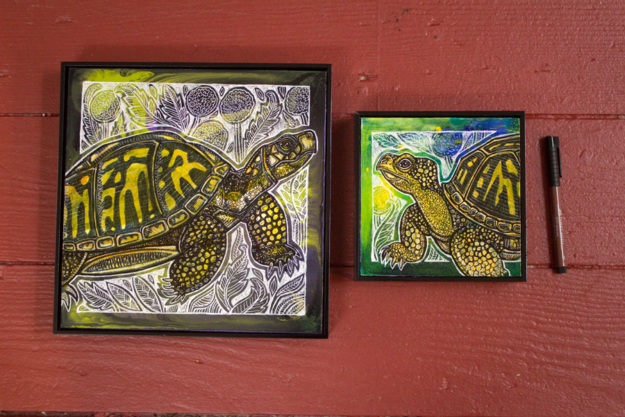 box turtle art