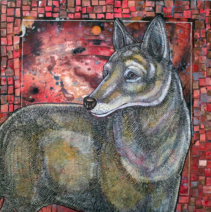 coyote art