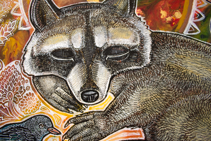 raccoon wildlife art