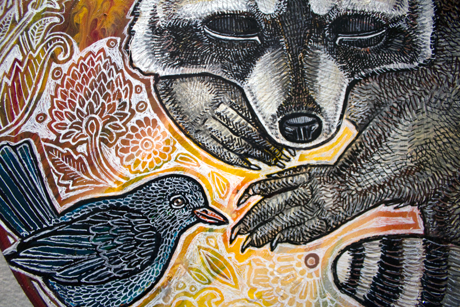 raccoon wildlife art