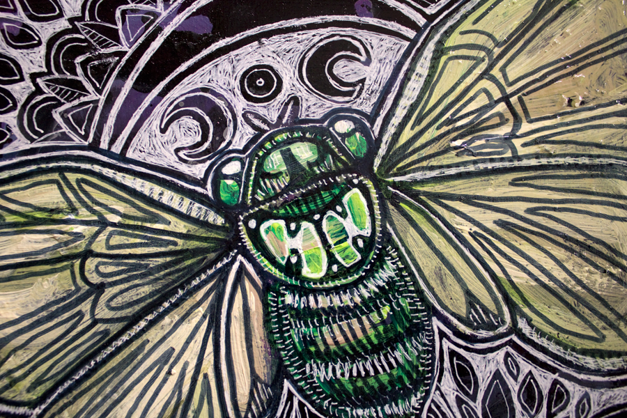 cicada art