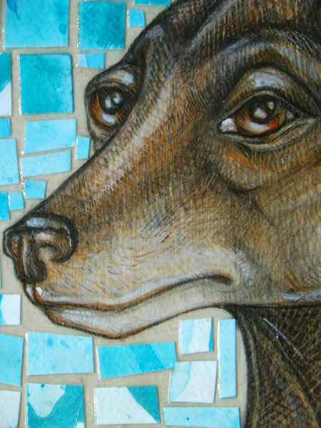 detail of italian greyhound