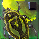 miniature beetle painting