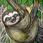 sloth art