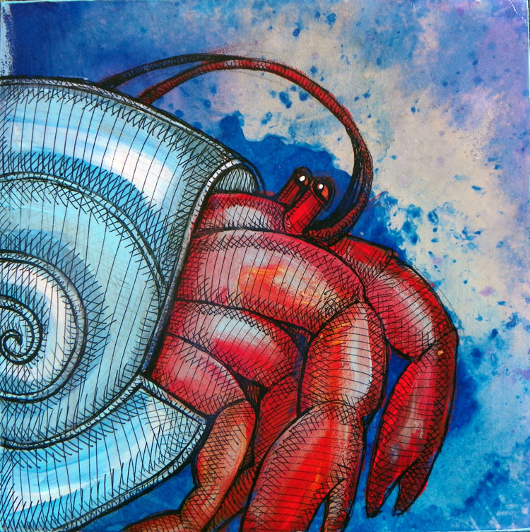 Hermit Crab Art