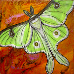 luna moth art