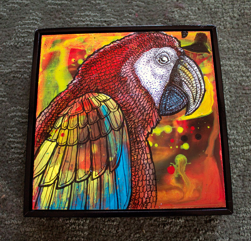 macaw parrot art