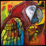 macaw parrot painting