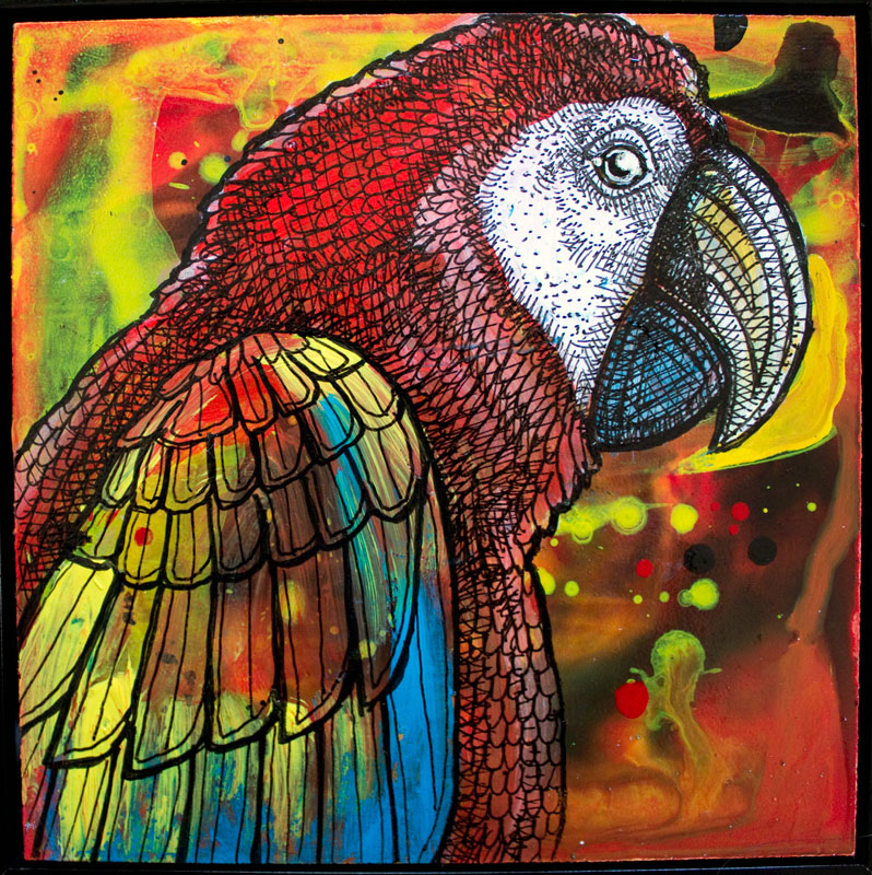 macaw parrot art
