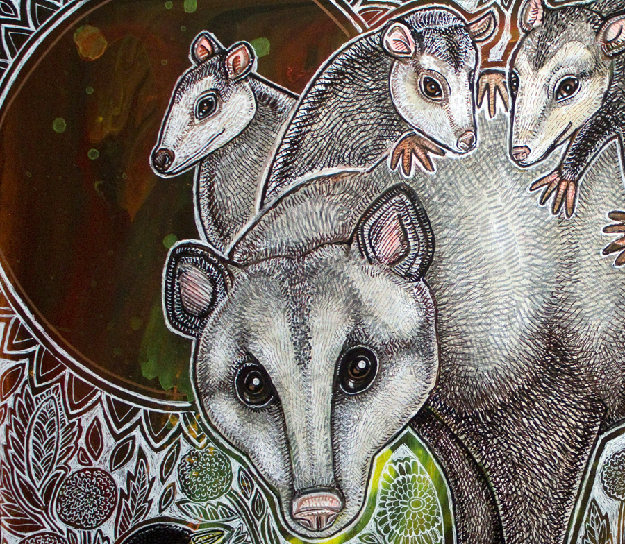 opossum art