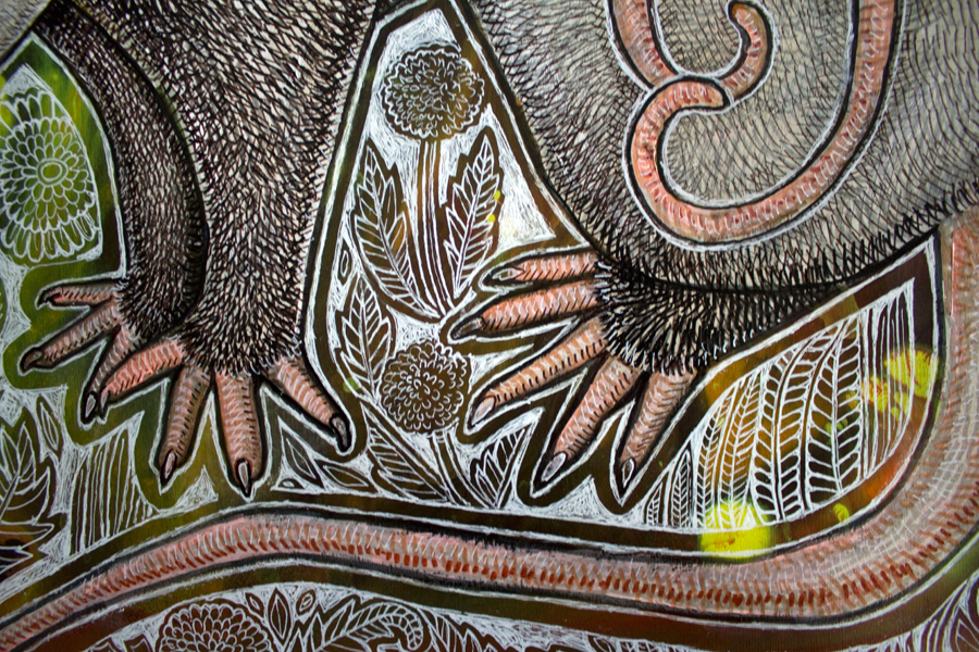 opossum art