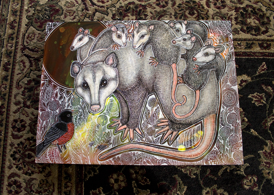 opossum art