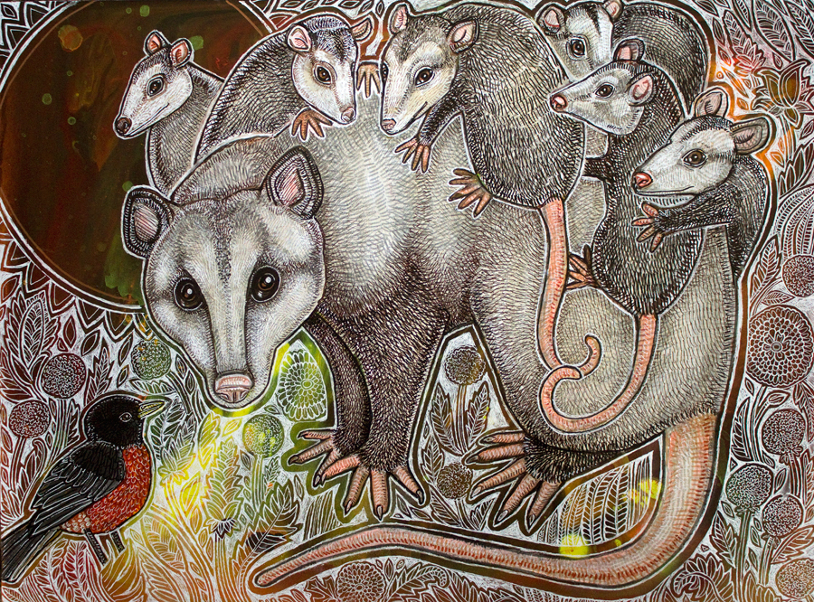 opossum art