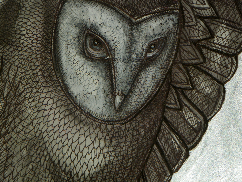 detail of owl face