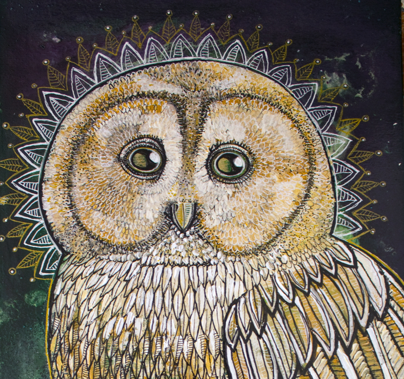 owl and moth art