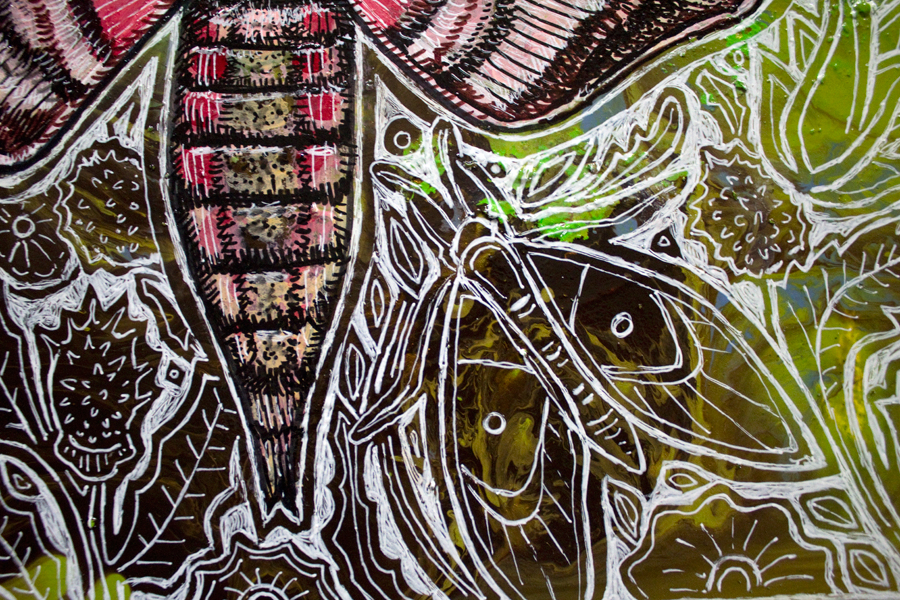 hawk moth insect art