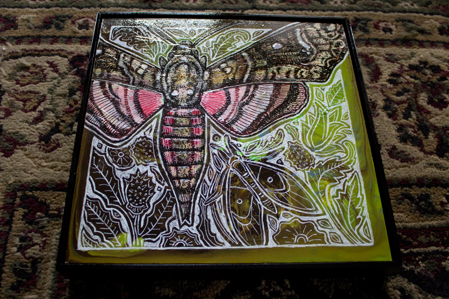 hawk moth insect art
