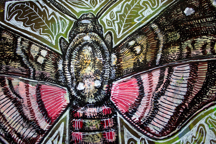 hawk moth insect art