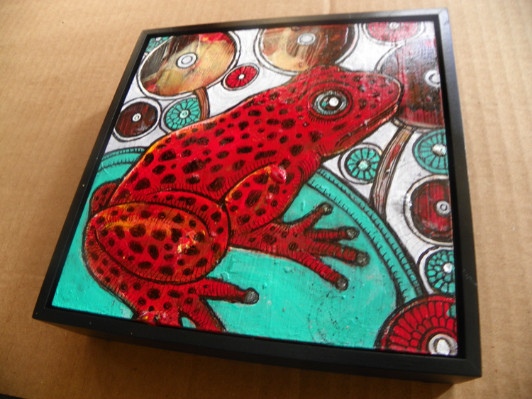 strawberry poison frog