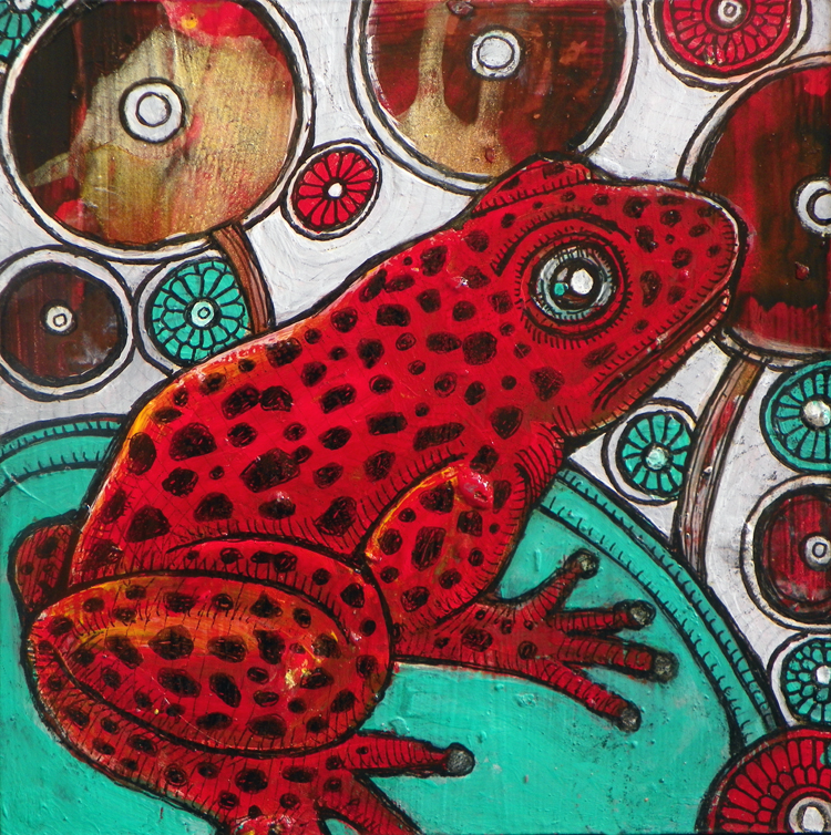 strawberry poison frog