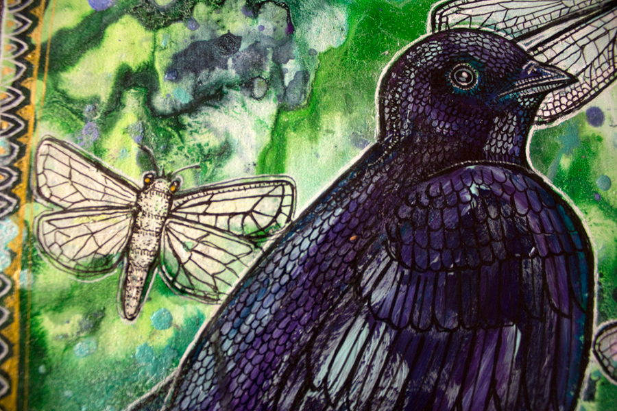 purple martin bird art
