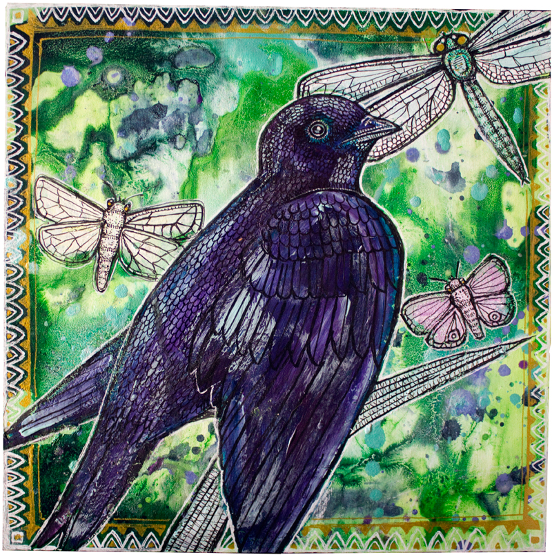 purple martin bird art