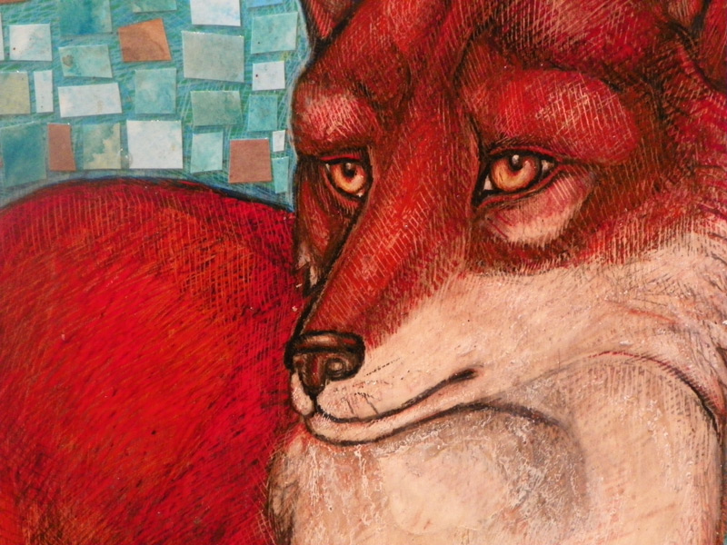 detail of red fox