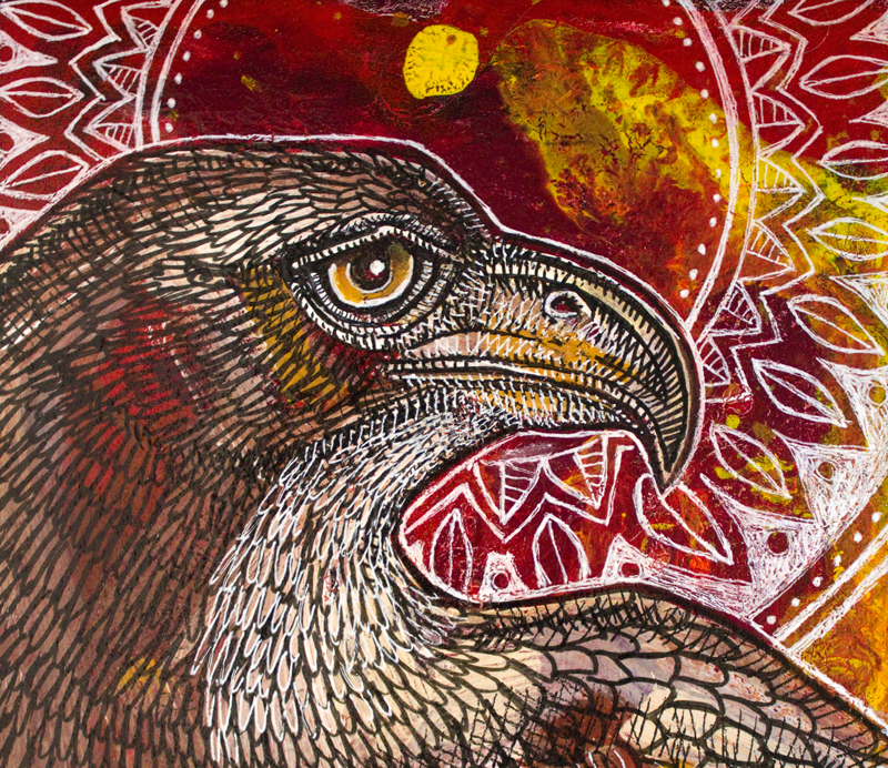 hawk raptor bird art
