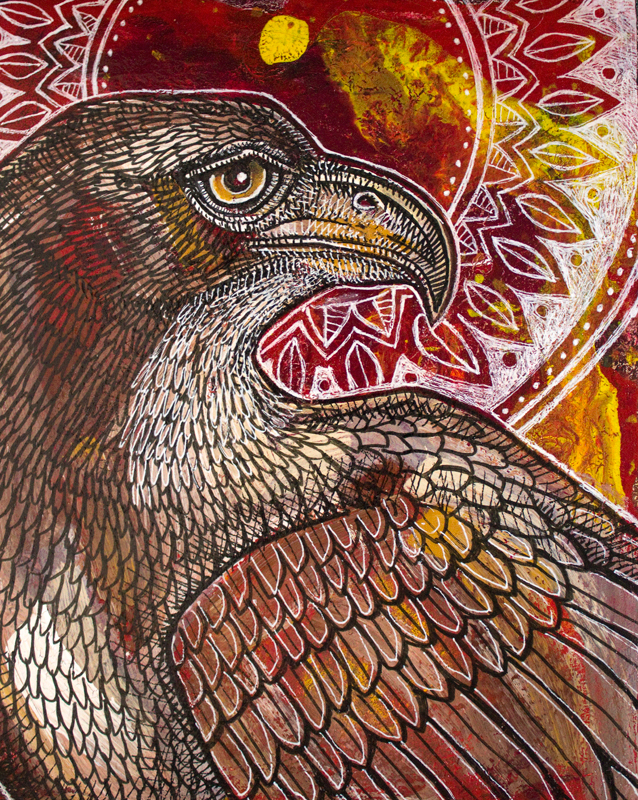 hawk raptor bird art