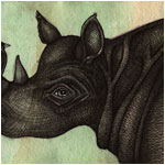 rhino art