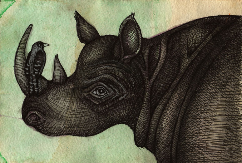 rhino art