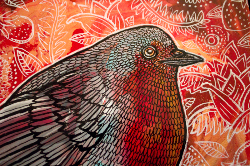 robin red breast