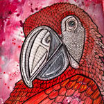 parrot bird art