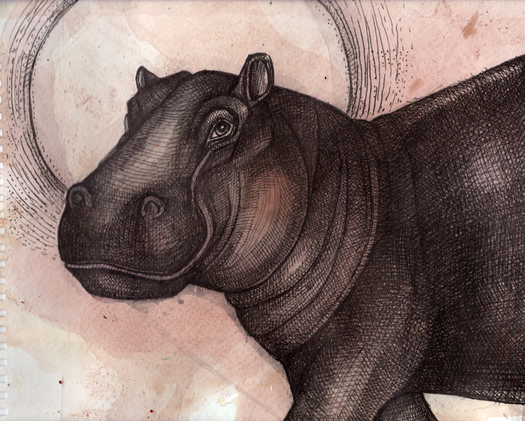 Hippo Art by Lynnette Shelley