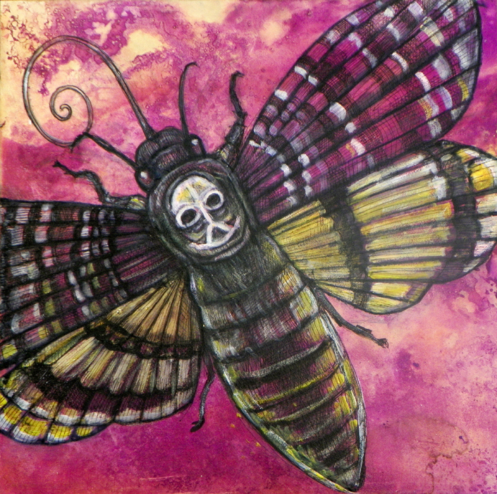 sphinx moth, hawk moth, death's head moth