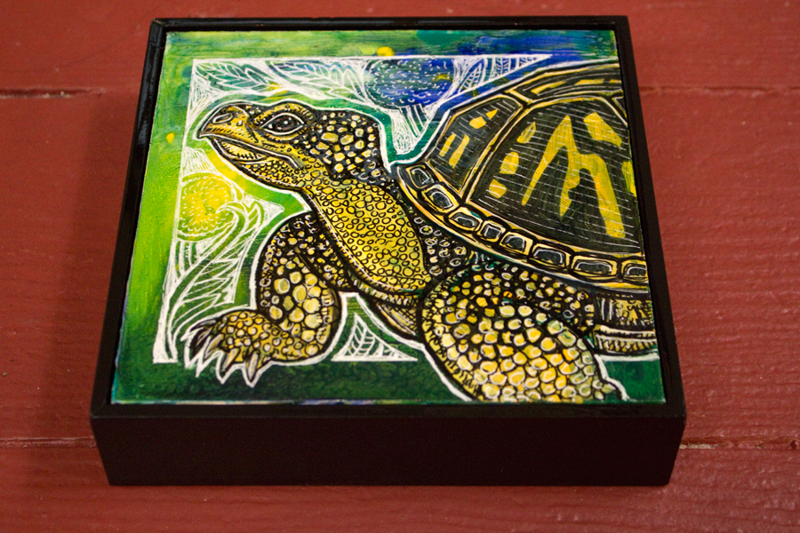 box turtle art