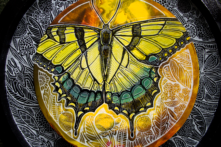 butterfly insect art