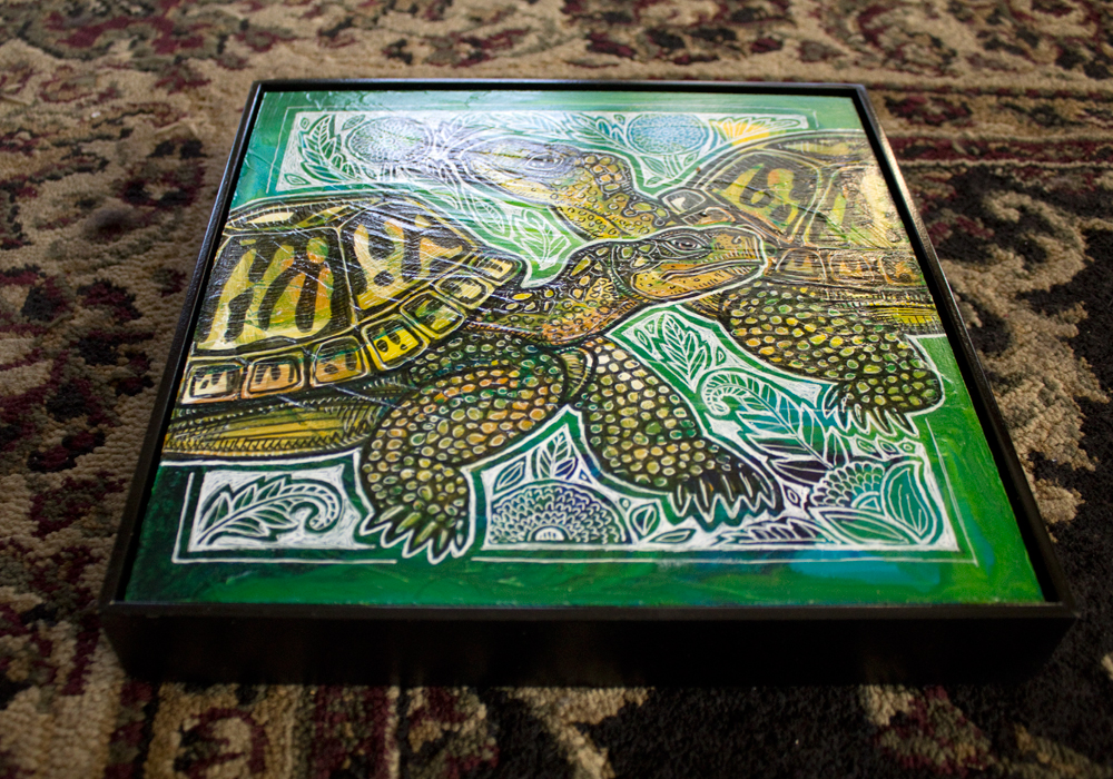 box turtle art