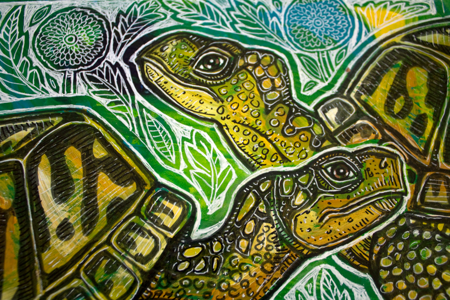 box turtle art