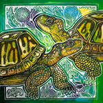 turtle Art