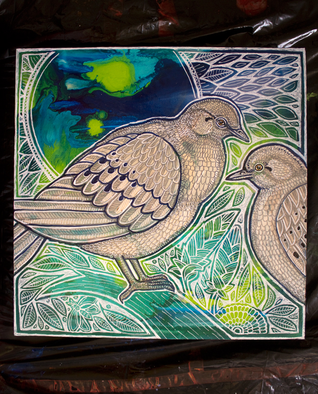 dove bird art