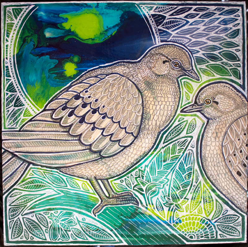 dove bird art